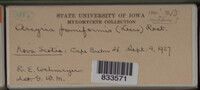 Image Associated With the Occurence
